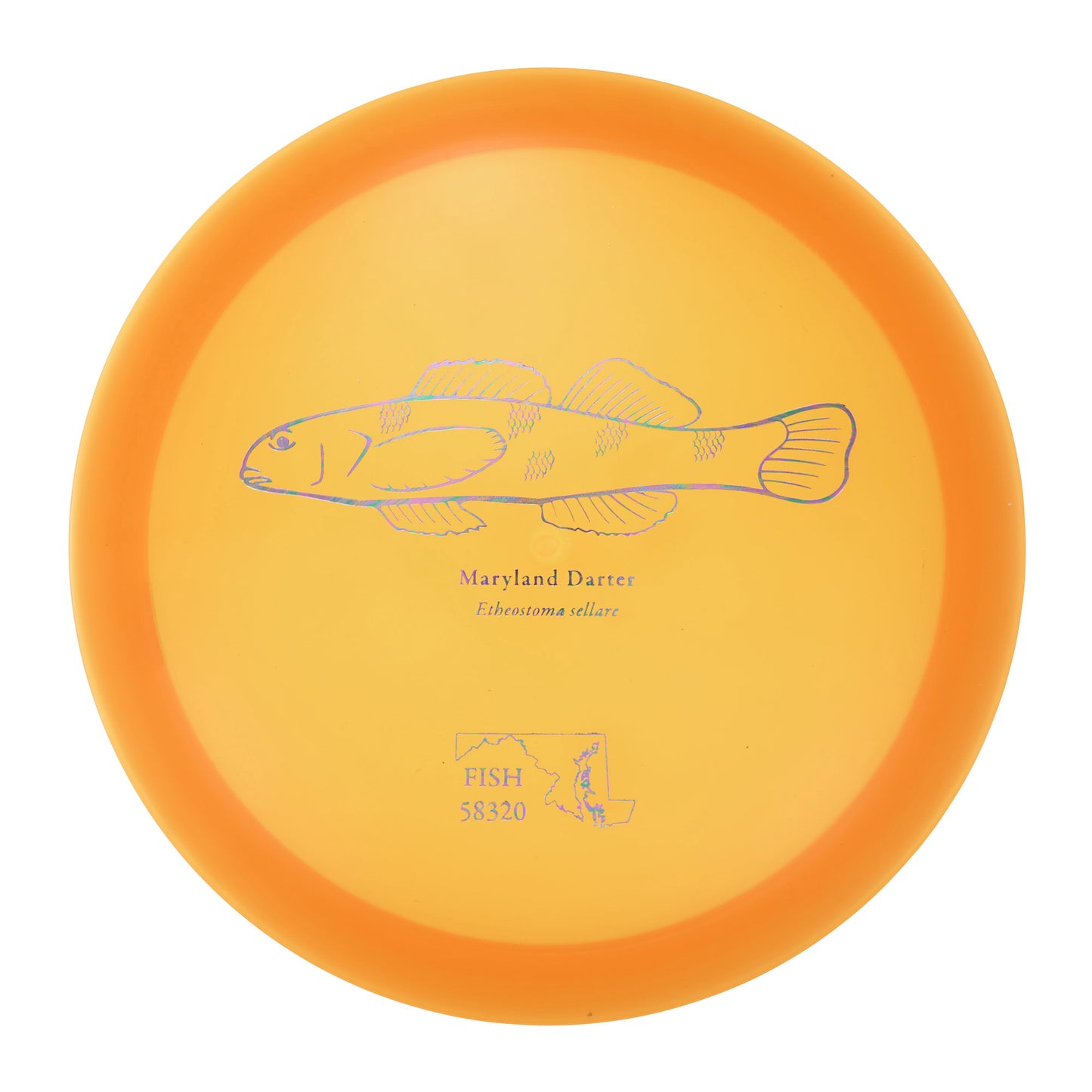 Discraft Undertaker - 2023 Andrew Fish Team Series Z-Line 174g | Style 0007