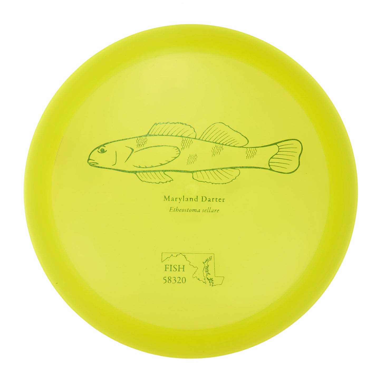 Discraft Undertaker - 2023 Andrew Fish Team Series Z-Line 174g | Style 0008