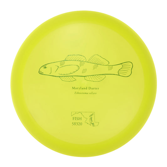 Discraft Undertaker - 2023 Andrew Fish Team Series Z-Line 175g | Style 0007