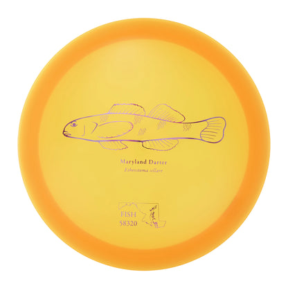 Discraft Undertaker - 2023 Andrew Fish Team Series Z-Line 176g | Style 0004