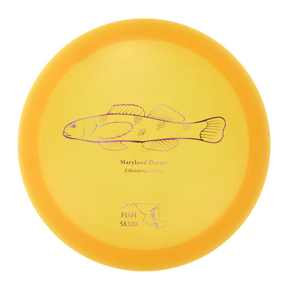 Discraft Undertaker - 2023 Andrew Fish Team Series Z-Line 176g | Style 0005