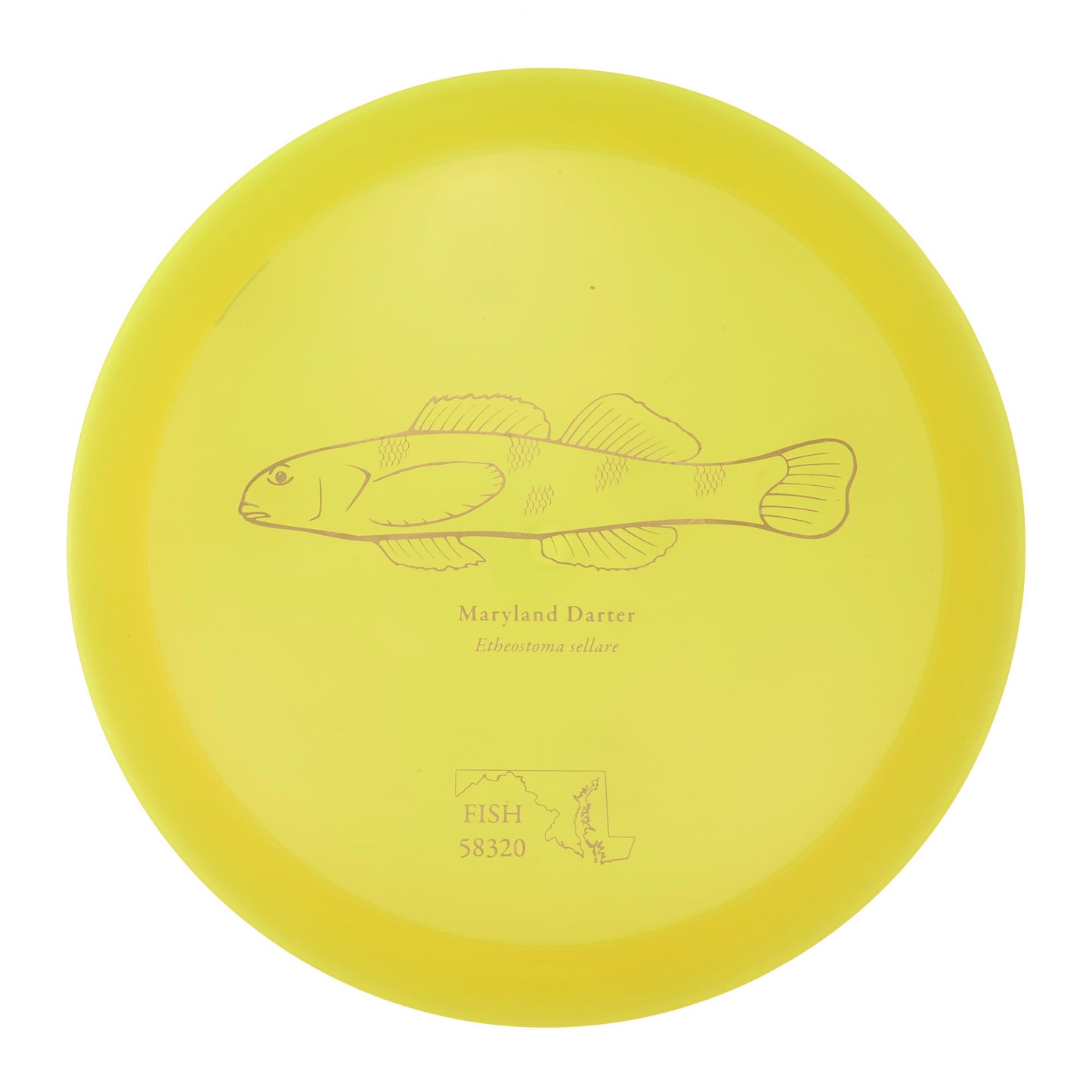 Discraft Undertaker - 2023 Andrew Fish Team Series Z-Line 176g | Style 0006