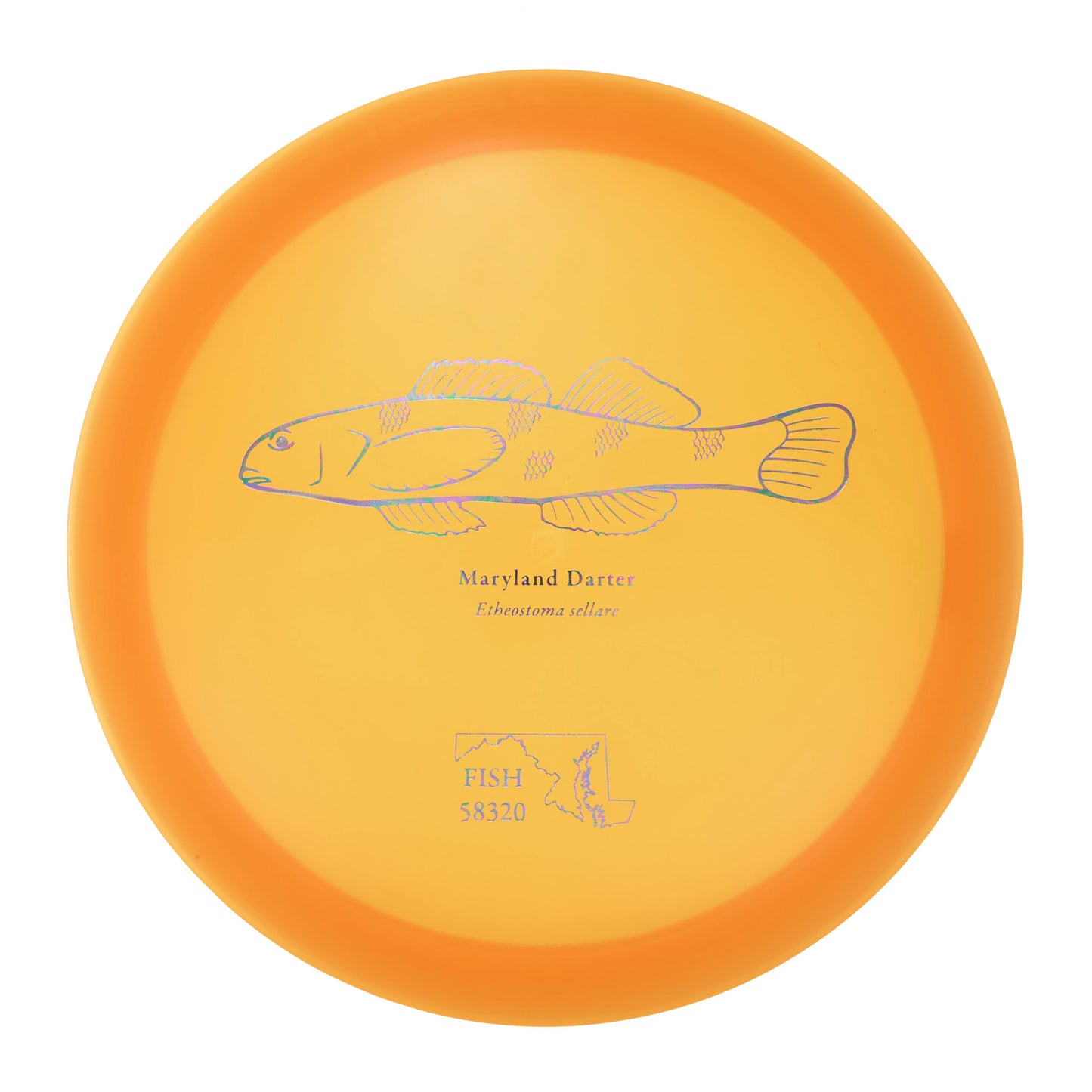 Discraft Undertaker - 2023 Andrew Fish Team Series Z-Line 177g | Style 0003