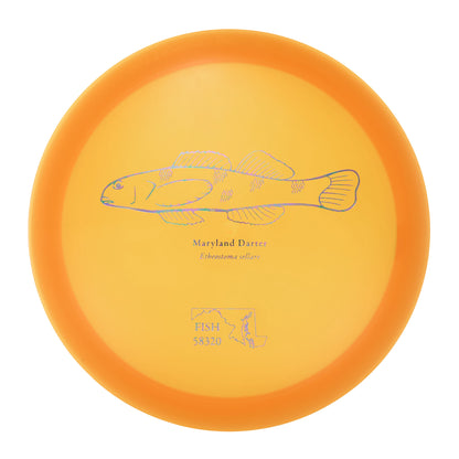 Discraft Undertaker - 2023 Andrew Fish Team Series Z-Line 177g | Style 0003