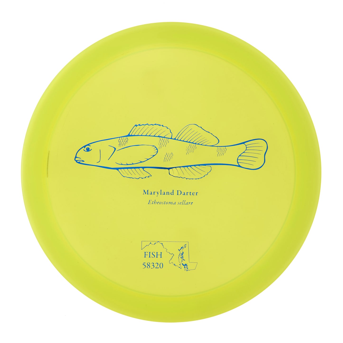 Discraft Raptor - 2023 Andrew Fish Team Series Z-Line 174g | Style 0014