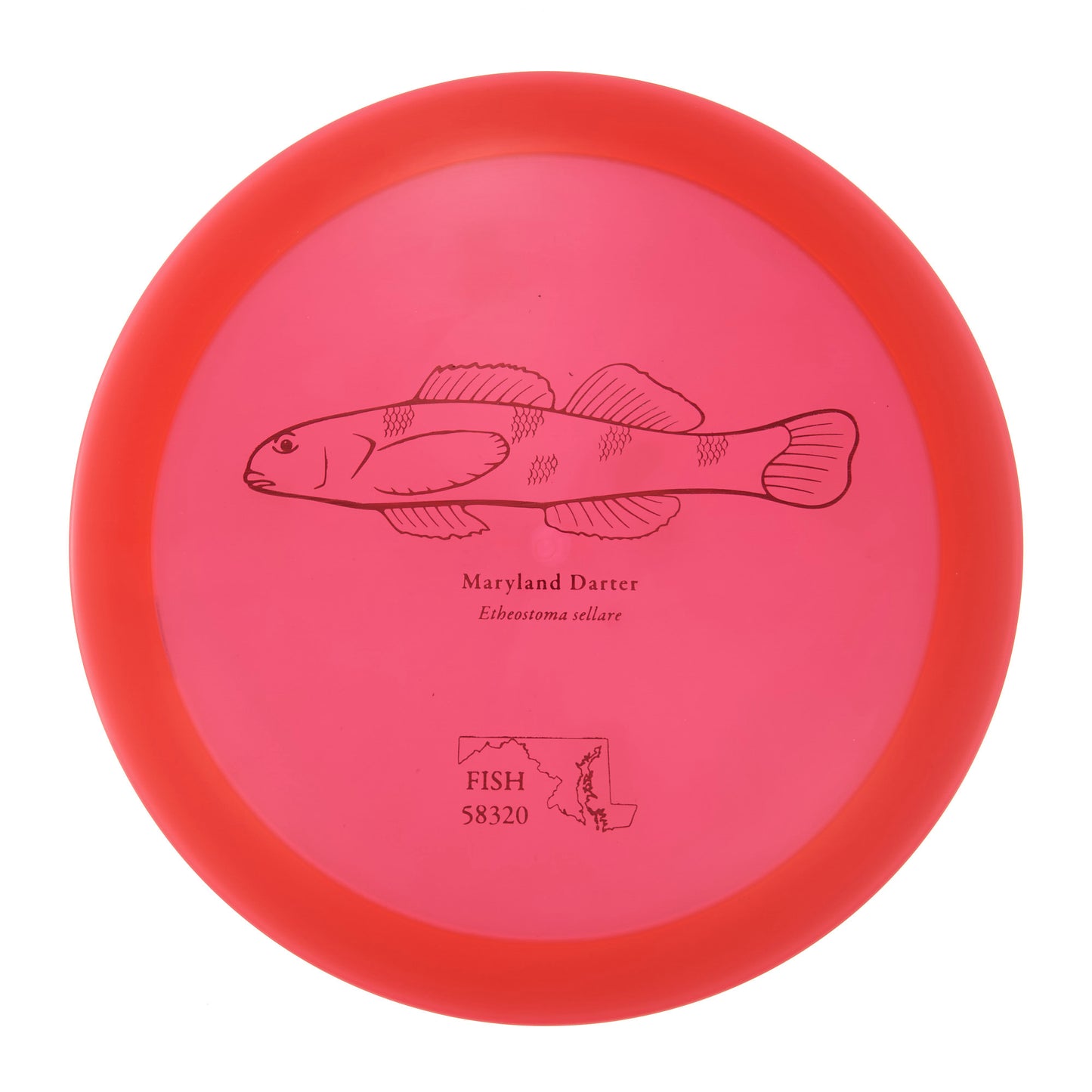 Discraft Raptor - 2023 Andrew Fish Team Series Z-Line 175g | Style 0023