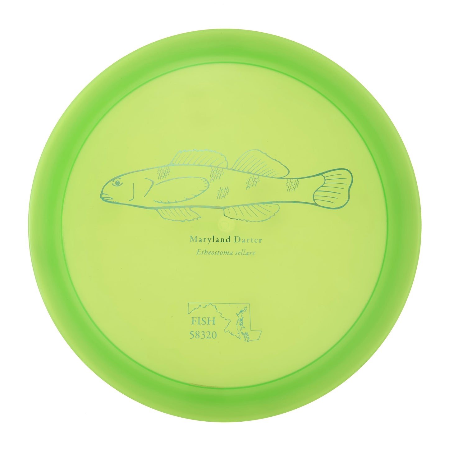 Discraft Raptor - 2023 Andrew Fish Team Series Z-Line 175g | Style 0024