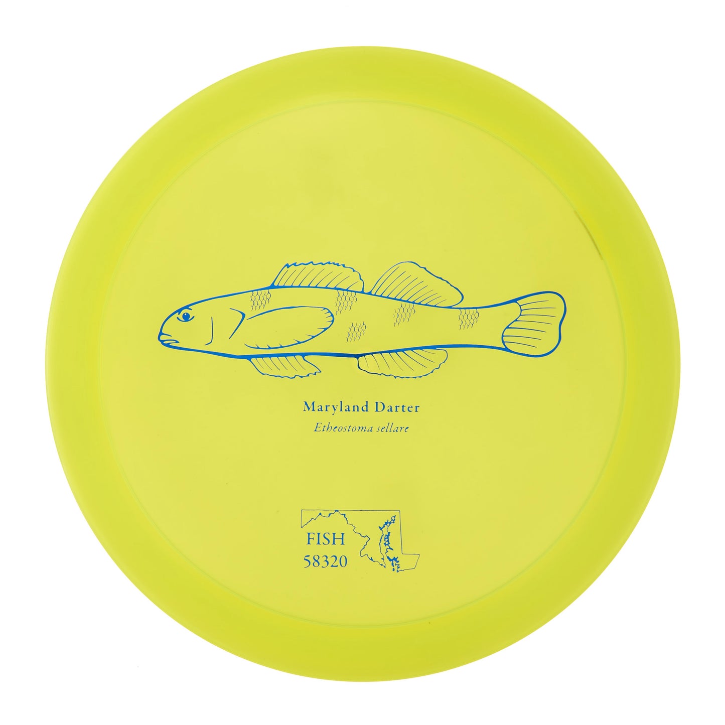 Discraft Raptor - 2023 Andrew Fish Team Series Z-Line 175g | Style 0026