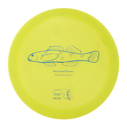 Discraft Raptor - 2023 Andrew Fish Team Series Z-Line 175g | Style 0026