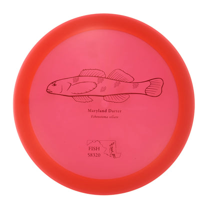 Discraft Raptor - 2023 Andrew Fish Team Series Z-Line 176g | Style 0017