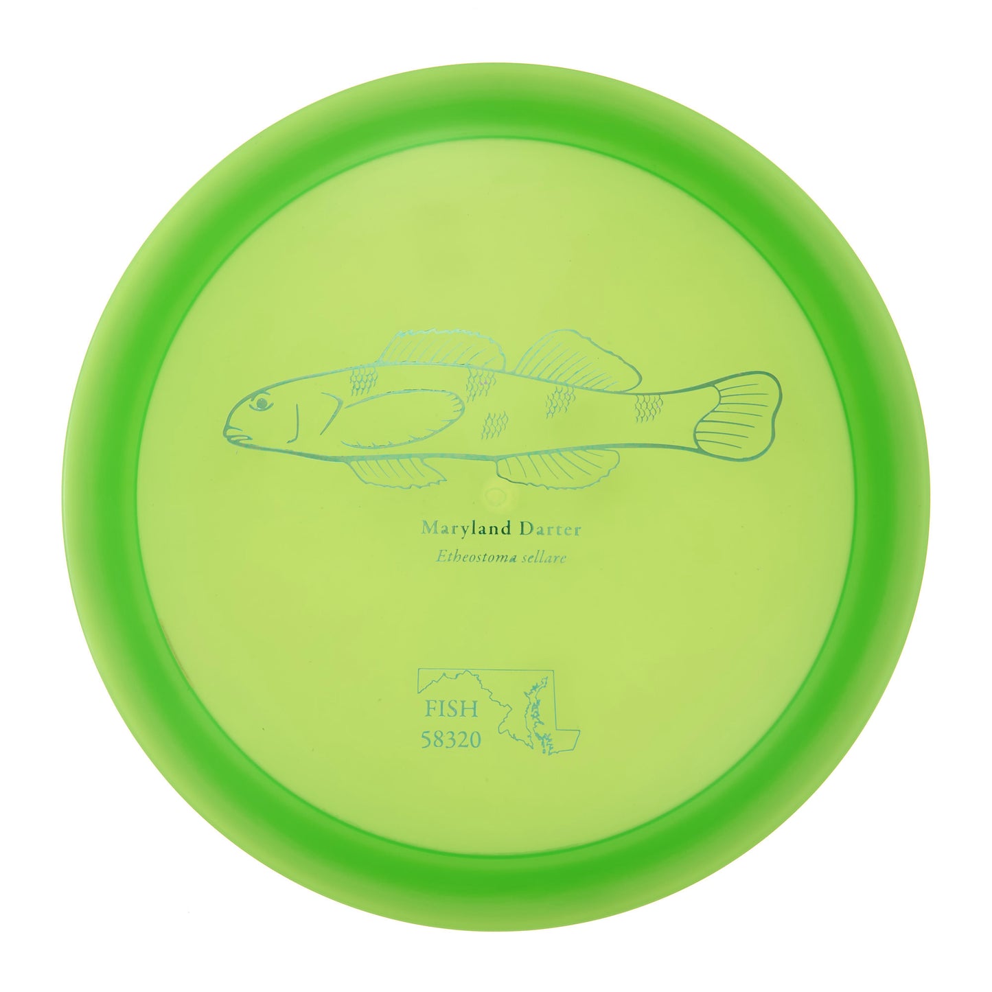 Discraft Raptor - 2023 Andrew Fish Team Series Z-Line 176g | Style 0018