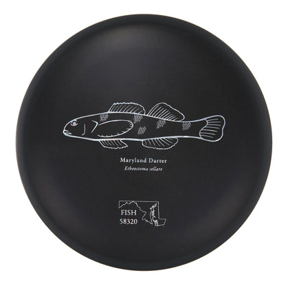 Discraft Buzzz - 2023 Andrew Fish Team Series ESP 177g | Style 0033