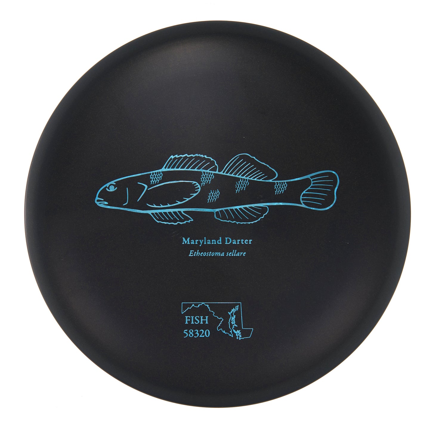 Discraft Buzzz - 2023 Andrew Fish Team Series ESP 178g | Style 0034