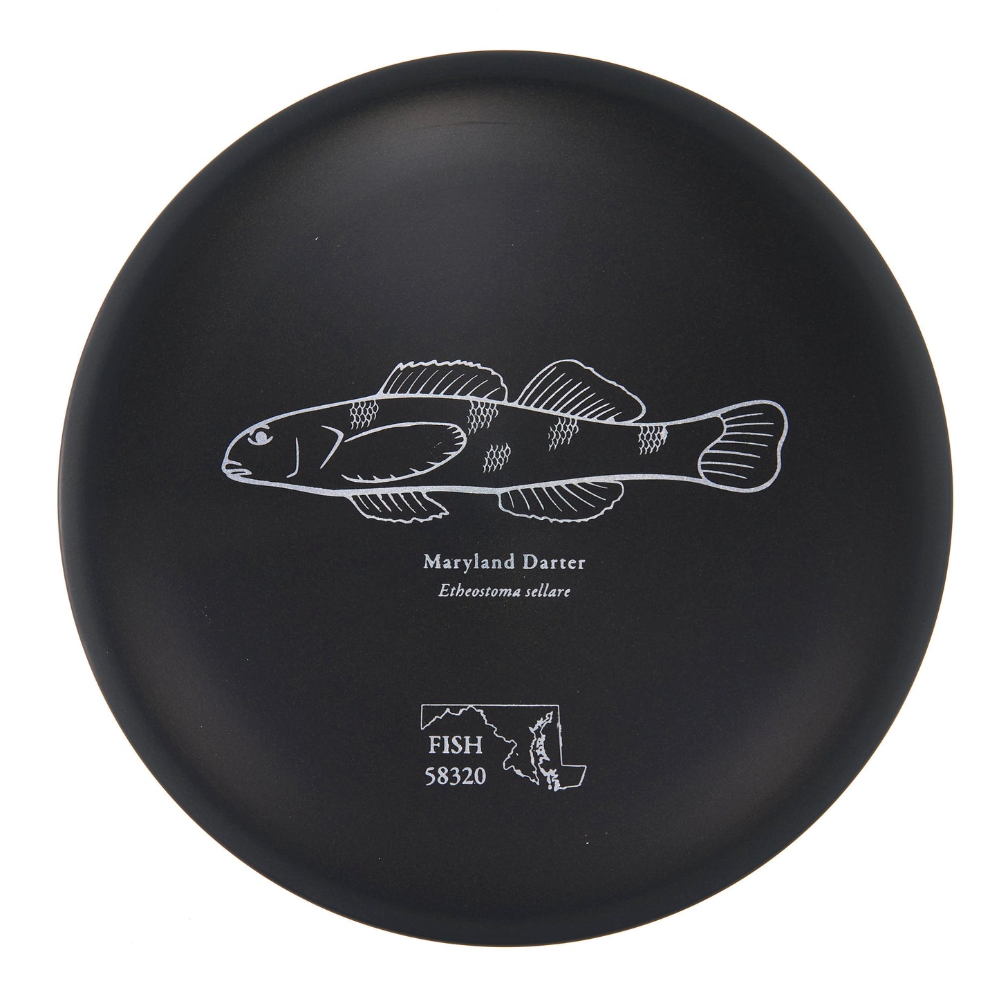 Discraft Buzzz - 2023 Andrew Fish Team Series ESP 180g | Style 0044