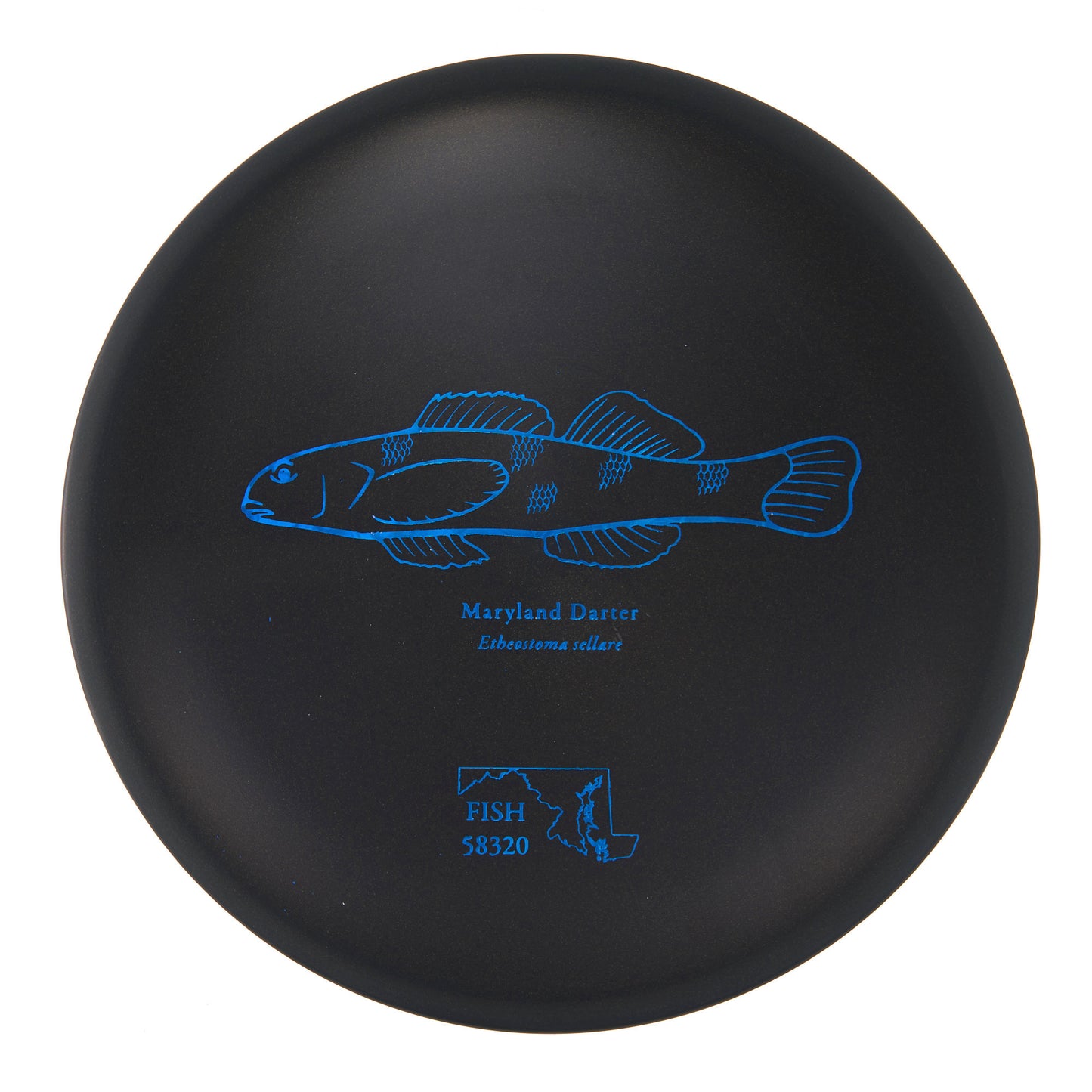 Discraft Buzzz - 2023 Andrew Fish Team Series ESP 181g | Style 0013