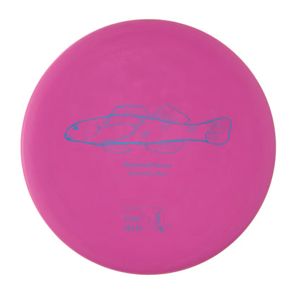 Discraft Challenger - 2023 Andrew Fish Team Series Putter Line 170g | Style 0001