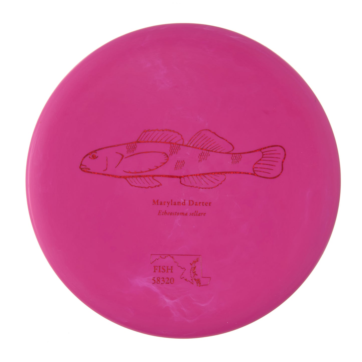 Discraft Challenger - 2023 Andrew Fish Team Series Putter Line 173g | Style 0010