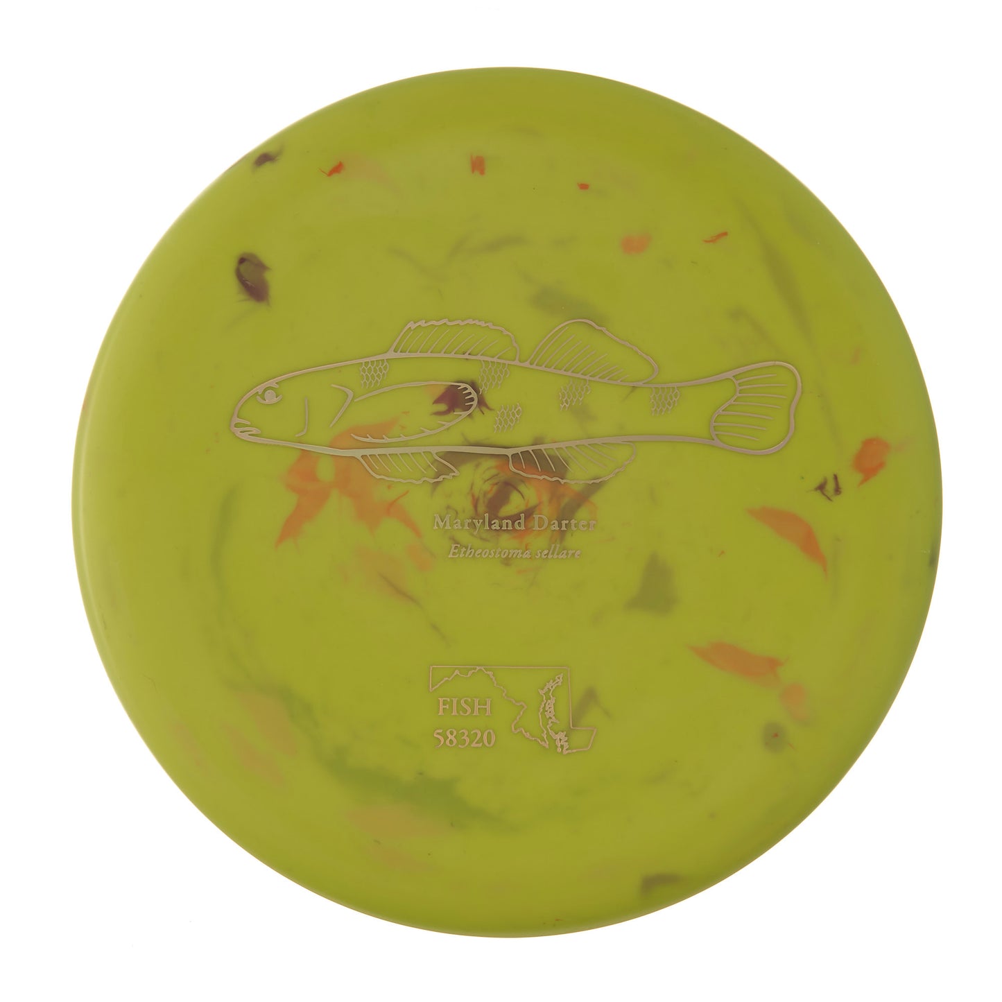 Discraft Roach - 2023 Andrew Fish Team Series Jawbreaker 175g | Style 0010