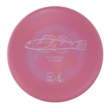 Discraft Zone - 2023 Andrew Fish Team Series Maryland Darter ESP 176g | Style 0027